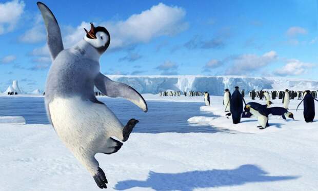 30 коротких удивительных фактов об Антарктиде антарктида, факты, фото