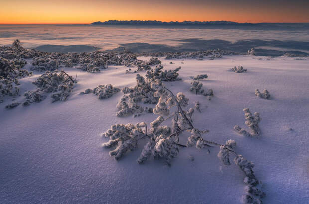 Завораживающая красота польских гор зимой