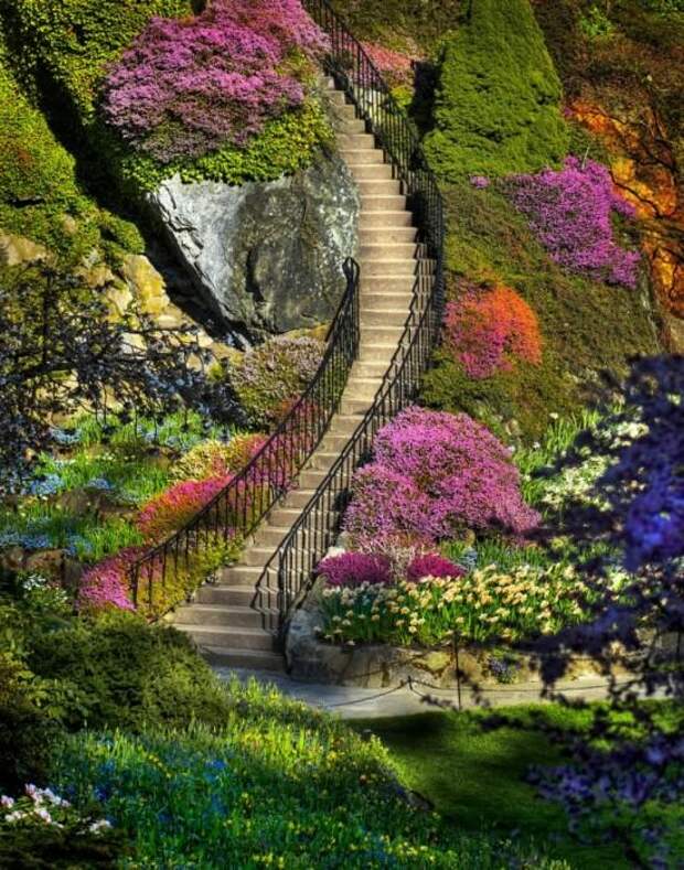 Место чарующее своей красотой и живой природой - The Butchart Gardens. 