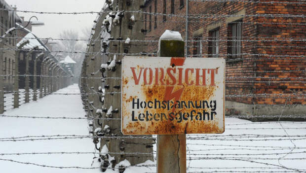 СМИ о церемонии в Освенциме - освобождал СССР, а пригласили немцев