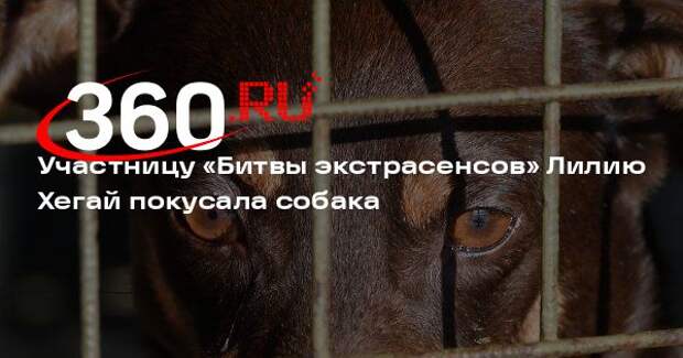 Участницу «Битвы экстрасенсов» Лилию Хегай покусала собака