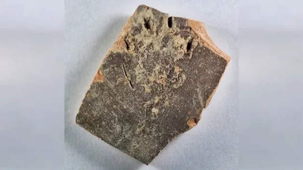 На 1200-летнем кувшине нашли древний отпечаток кошачьей лапки