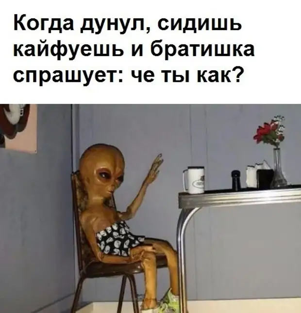 Сиди кайфуй