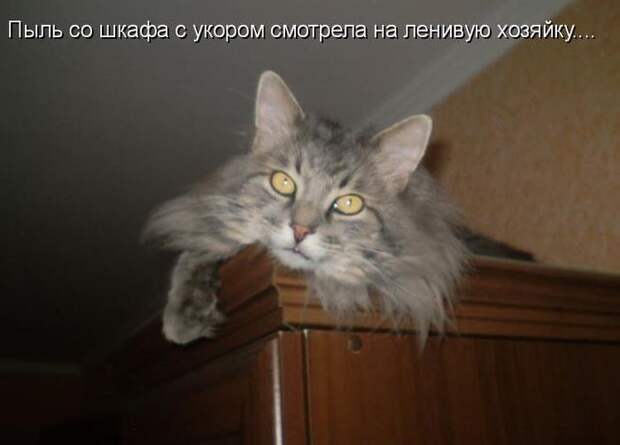 Мысли вслух :)