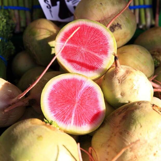 Весьма редкие продукты, которые мало кто пробовал
