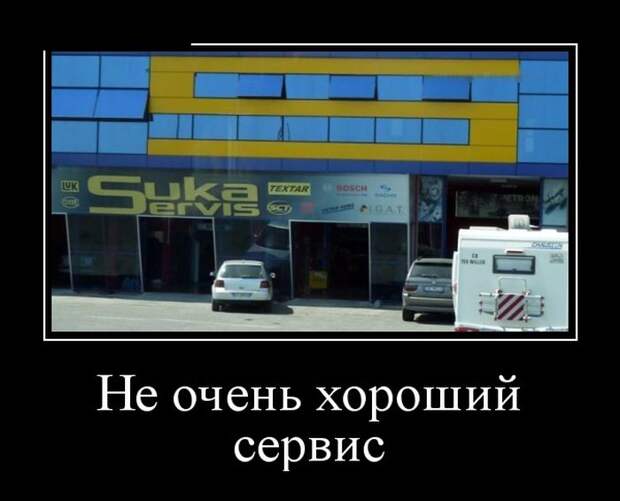 Демотиваторы (30 фото)