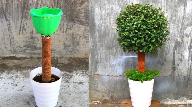 Чудесное живое деревце из самых простых материалов