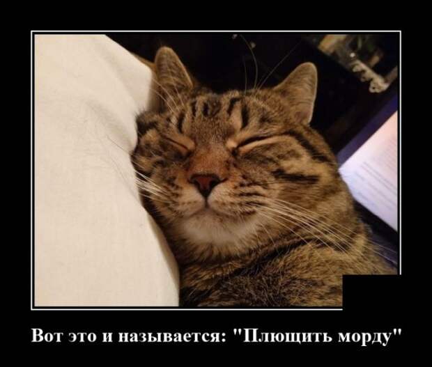 Демотиваторы 18 января 2022 года
