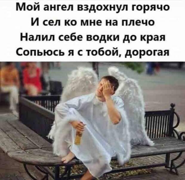 Шутки и мемы про алкоголь