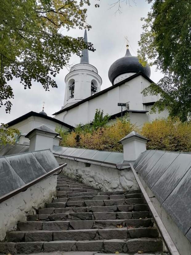 К могиле Пушкина ведет каменная крутая лестница