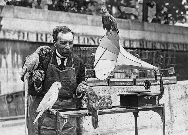 Продавец попугаев учит попугаев петь песни по граммофону. Германия. 1935 г. история, события, фото