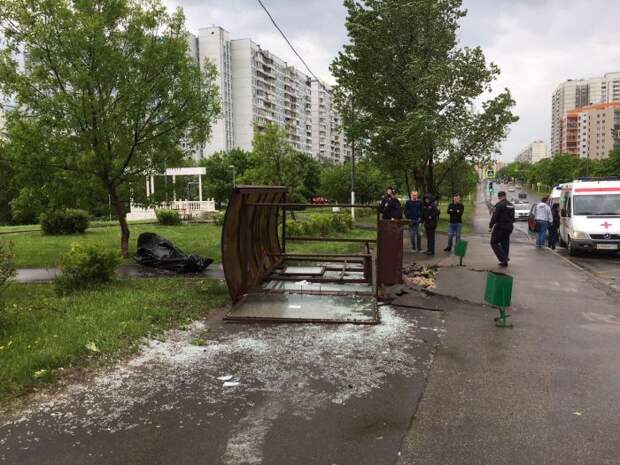 На Москву обрушился ураган (18 фото) На Москву обрушился ураган (18 фото)