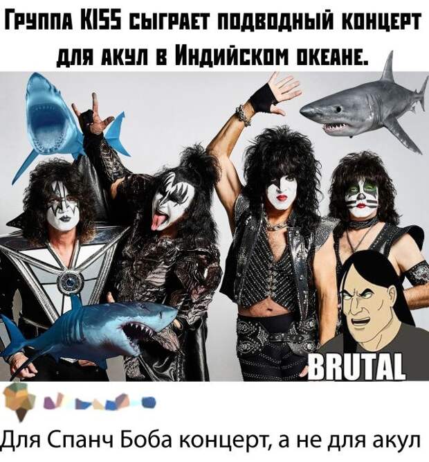 kartinok-prikolnyh-podborka-kartinki-smeshnye-kartinki-fotoprikoly