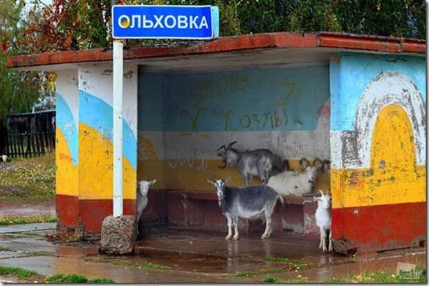 Best_of_Russia_23