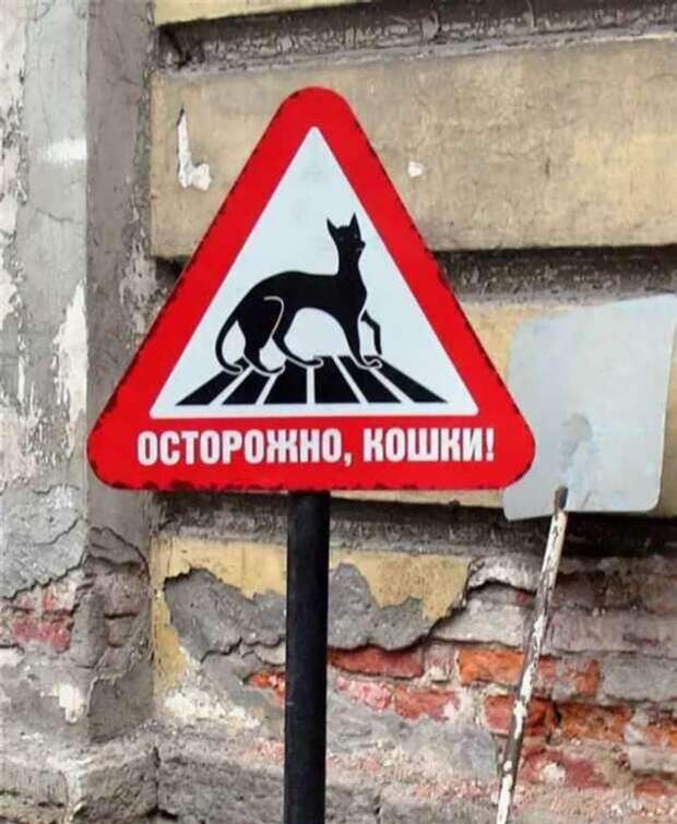 Предупреждающие таблички. Прикольные. Подборкаchert-poberi-tablichki-13230625062020-6 картинка chert-poberi-tablichki-13230625062020-6