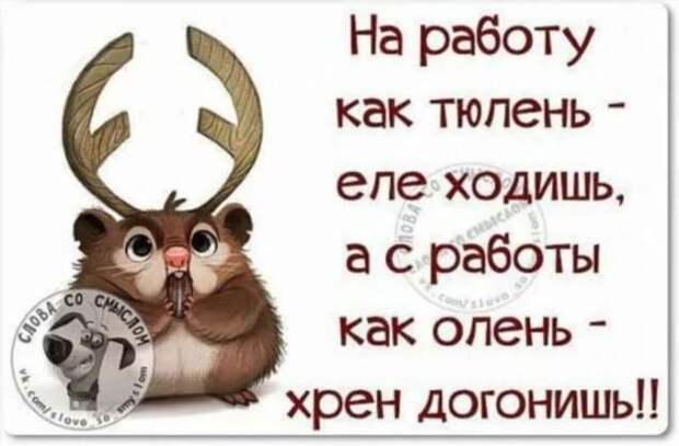 Смешные комментарии. Подборка chert-poberi-kom-chert-poberi-kom-15260329102020-16 картинка chert-poberi-kom-15260329102020-16