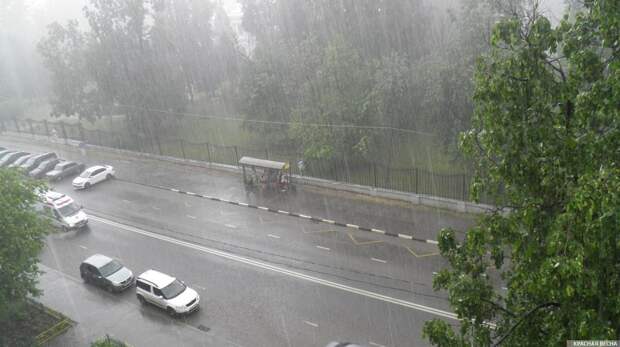 Карта мира желтое море