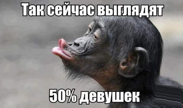 Прикольные картинки абавсём:D (01.04.16) Прикольные картинки абавсём:D (01.04.16)