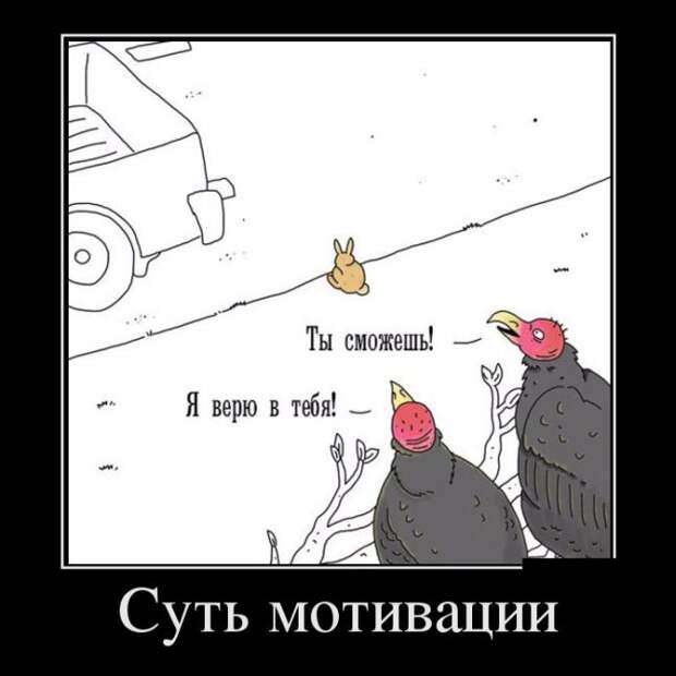 Демотиваторы (30 фото)