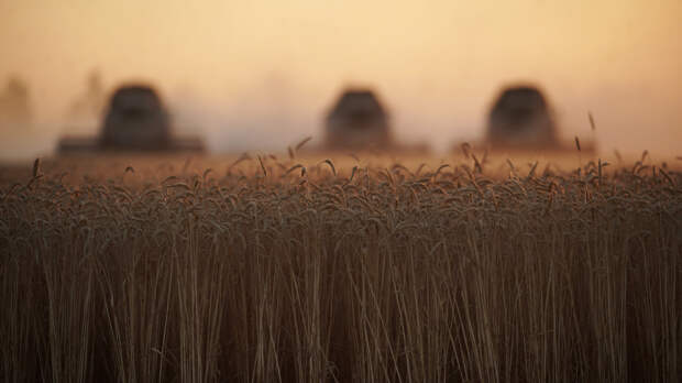Производство зерна в РФ намерены увеличить до 170 миллионов тонн к 2030 году