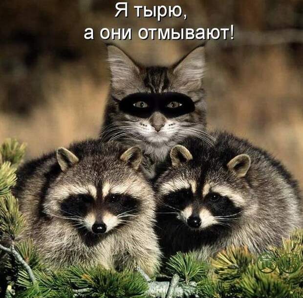 Мысли вслух :)
