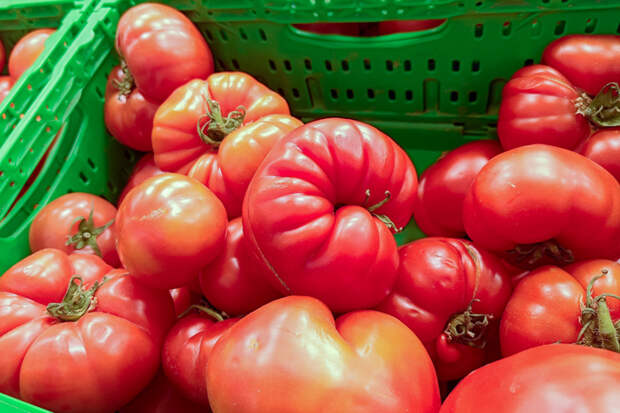 В Новосибирске помидоры испортили общий показатель цен на продукты