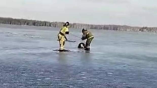 В Рязанской области в Клепиковском районе из озера спасли рыбака