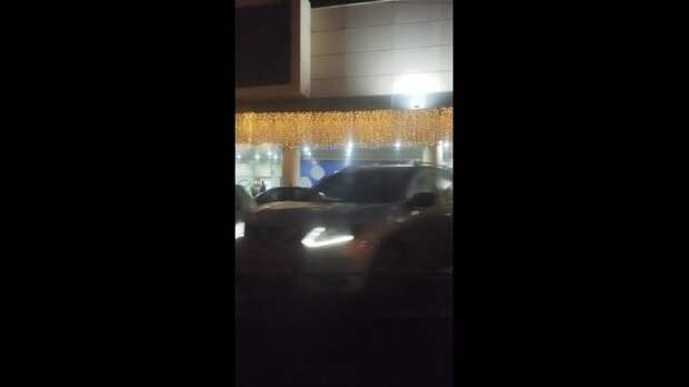 Video: VivaCut_video_1735137745774_1080HD.mp4