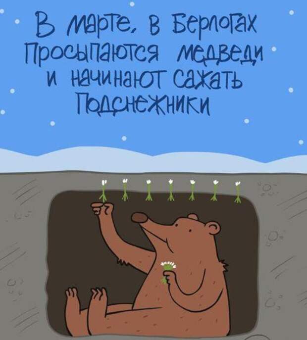 Весна и первые подснежники они такие разные