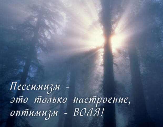 Оптимизм