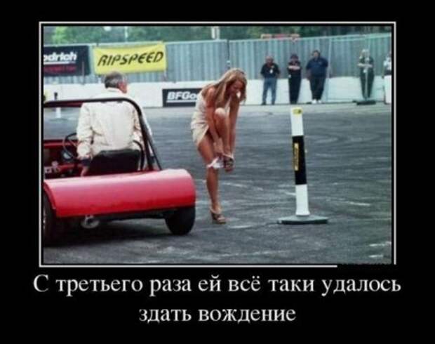 Осенние демотиваторы.