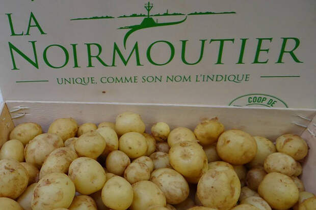 Французский картофель «La bonnotte de Noirmoutier»