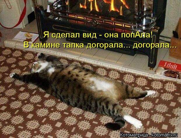 Забавные котоматрицы