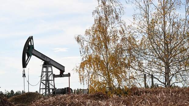 Unherd: операция США и Израиля в Иране вернула Россию на мировой рынок нефти