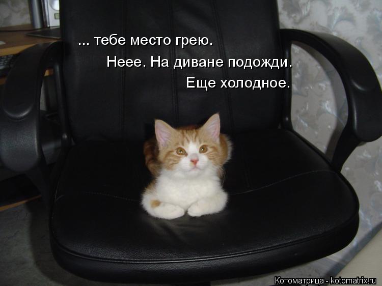 Котоматрица: ... тебе место грею. Неее. На диване подожди.  Еще холодное.