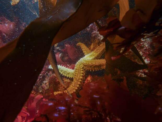 Блог - Главные победители Wildlife Photographer of the Year Главные победители Wildlife Photographer of the Year