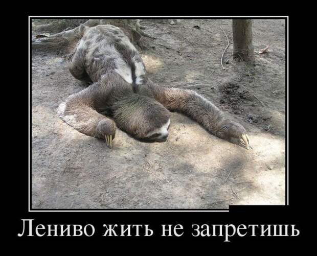 Демотиваторы