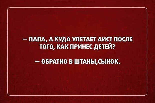 121658283_3416556_getImage_9_ (600x400, 129Kb)