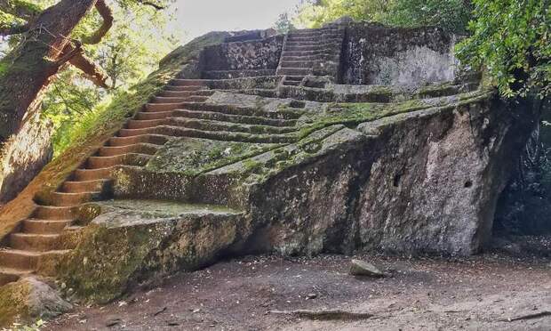 Таинственные лестницы, затерянные в лесных дебрях