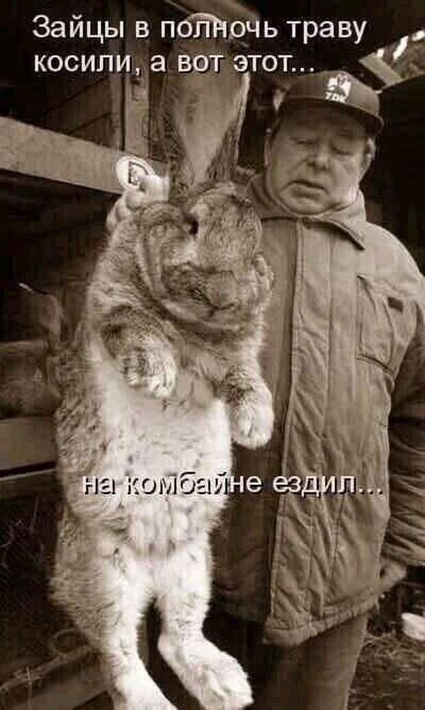 Свежие клевые картинки