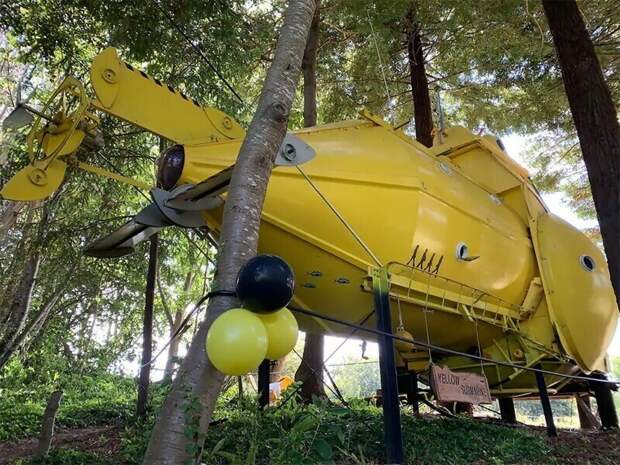 В новозеландском лесу выросла собственная Yellow Submarine В новозеландском лесу выросла собственная Yellow Submarine