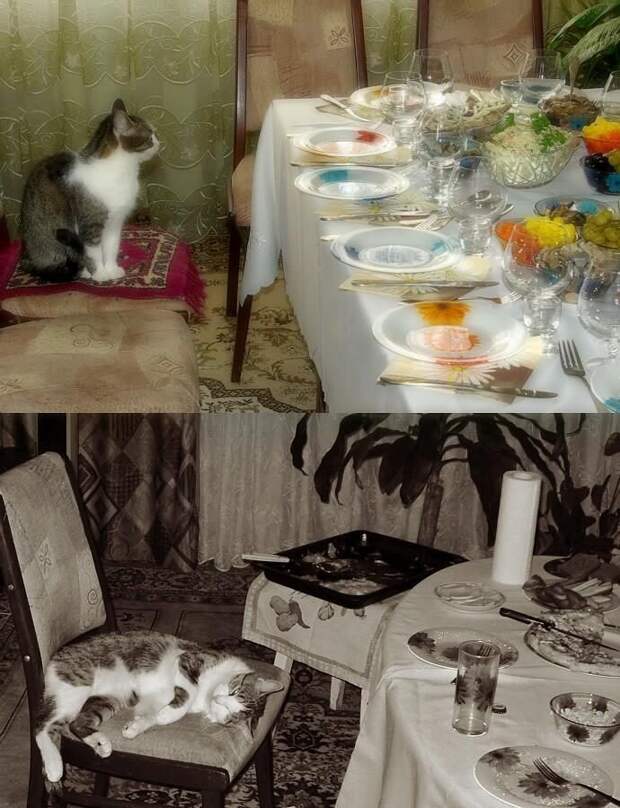 Праздник удался! Жмите лайк!