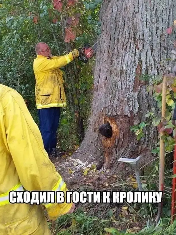Настоящая любовь не боится ничего. Даже регистрации брака Настоящая любовь не боится ничего. Даже регистрации брака февраля, ничего, выходи, влюбленных, мужчина, против, Святого, передумаешь, когда, сегодня, Валентина, получит, Аптека, будет, женщина, подарок, мужчины, пилить, лечусьНа, любовника