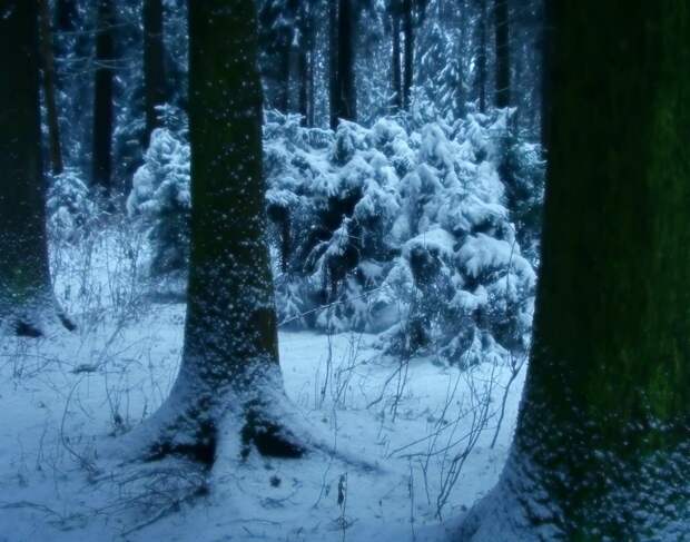 20 шикарных фотографий для тех, кто считает, что в России нет красивых мест