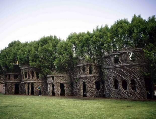 5 необычных сооружений в гигантских деревьях
