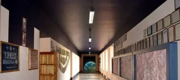 Киевский лицеист отчитал преподавателя литературы за изучение Пушкина на уроках