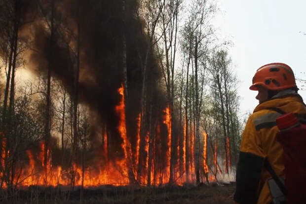 Пожарный эксперт Куксин: в июле ситуация с пожарами в России сильно усугубится