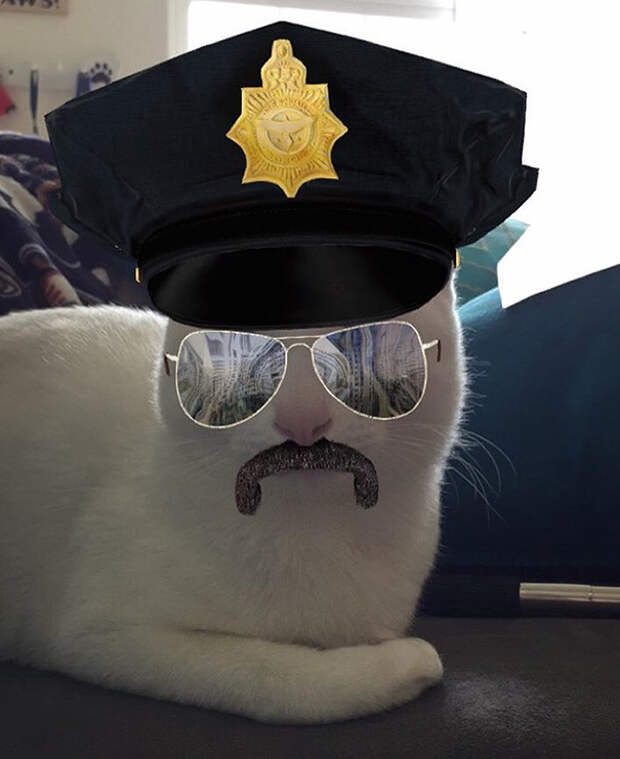 8 милых масок Snapchat для домашних животных