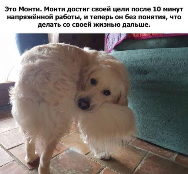 Цель достигнута