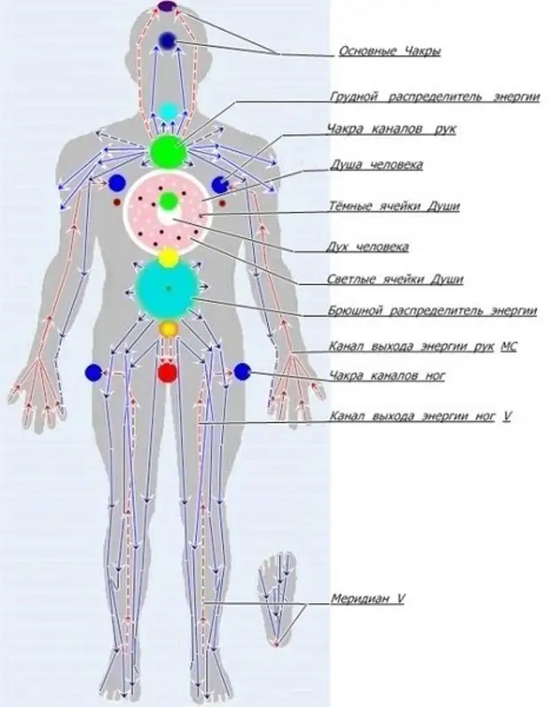 Энергетический организм. Энергетические меридианы человека схема. Энергетические точки на теле человека чакры. Энергетическая система человека каналы чакры. Энергетические меридианы тела человека подробная.